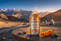 FizzyCoco Seabuckthorn